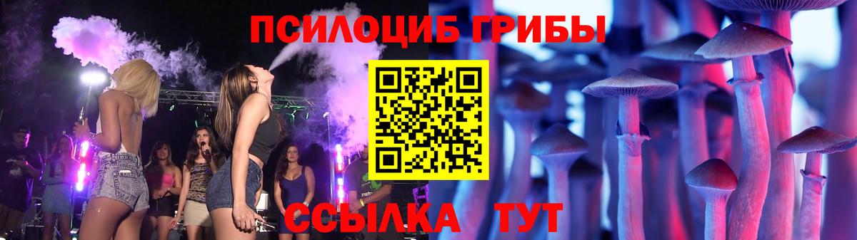 где купить наркоту  Галлюциногенные грибы мицелий  Псилоцибиновые грибы мухоморы  Вход с VPN  Удомля 